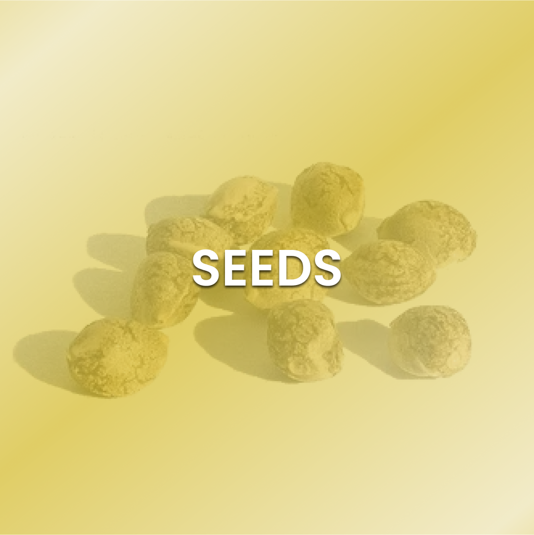 Seeds
